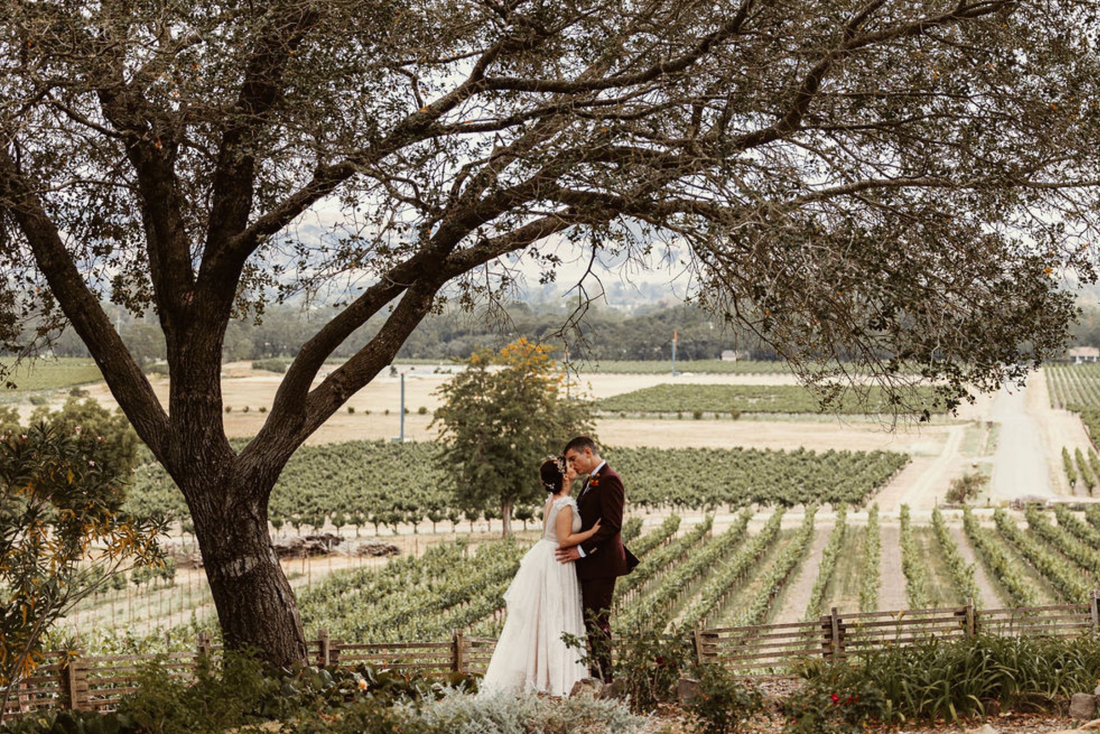 wedding ceremony in vineyard