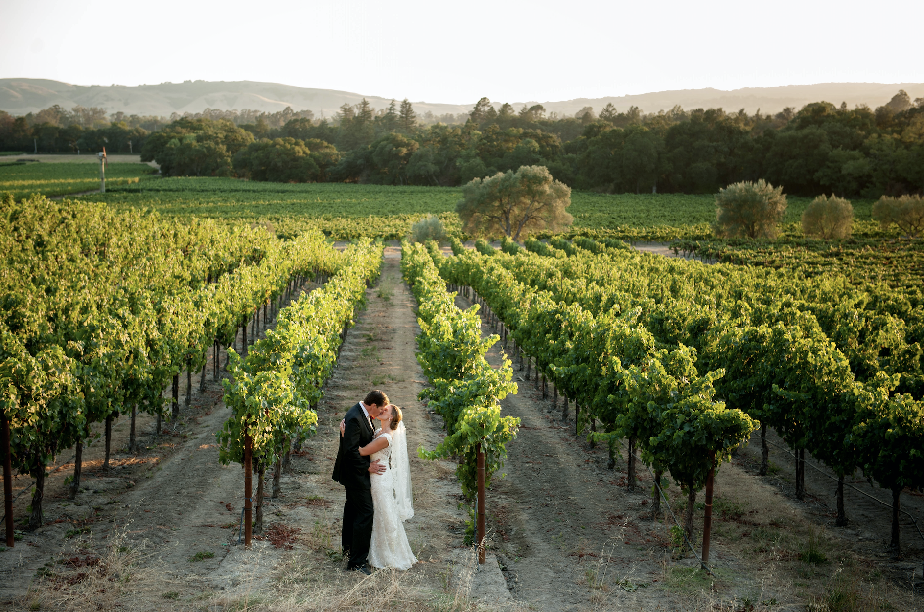 Couple kissing in the vineyards